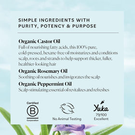 Sky Organics DIY eBook spread showing recipes and tips for personalized routines benefit