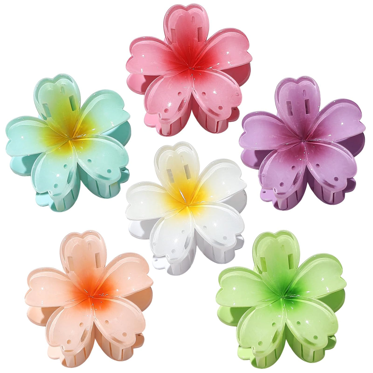SMKSL front view of six floral claw clips showing colors and packaging benefit organization