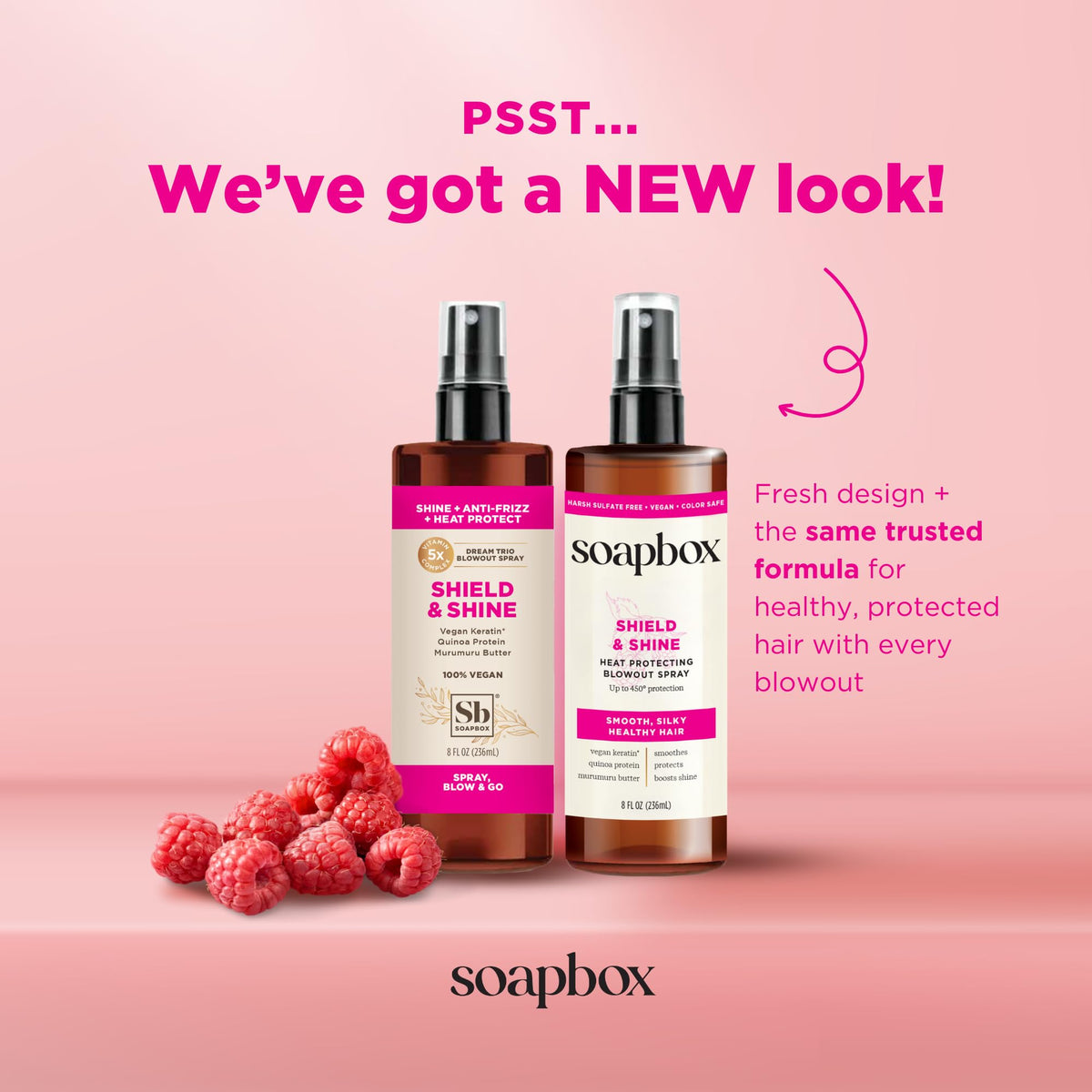 Soapbox spray nozzle dispensing mist for even protective coverage