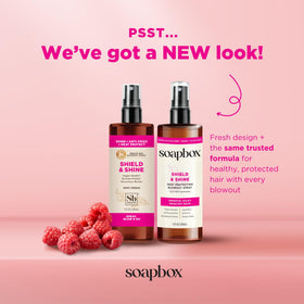 Soapbox spray nozzle dispensing mist for even protective coverage