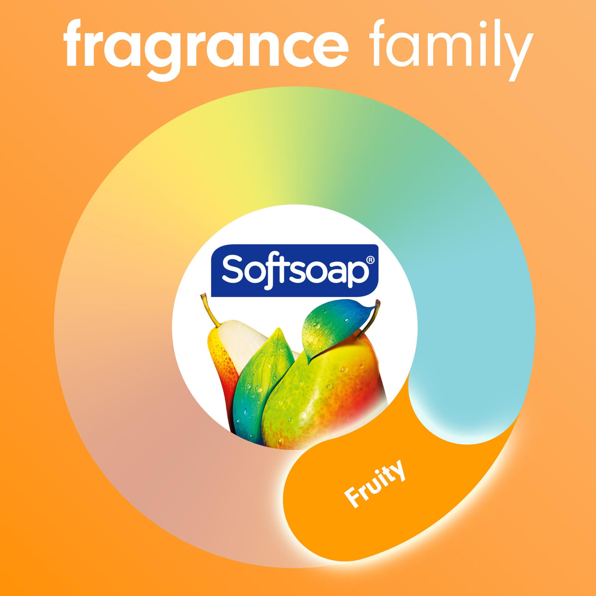 Softsoap bottle next to hand for size comparison and practical scale