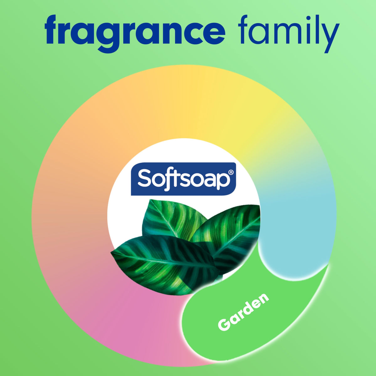 Softsoap bottle beside common objects showing 7.5 fl oz scale for portion clarity