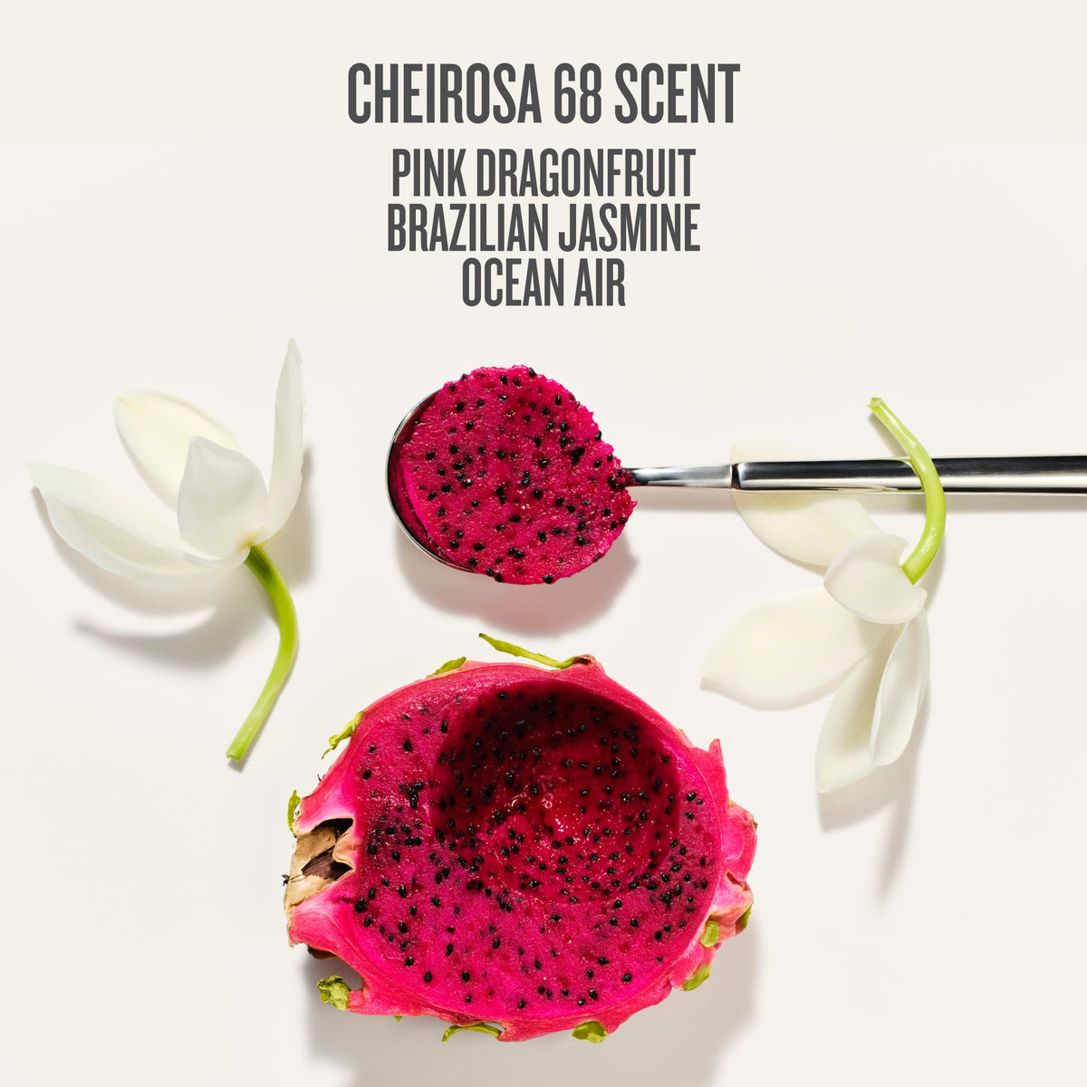 Sol de Janeiro fragrance notes visual of jasmine and dragonfruit conveying tropical scent