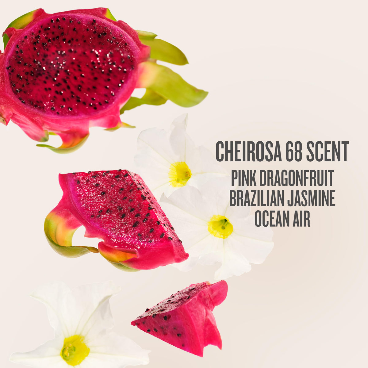Sol de Janeiro ingredient label detail revealing formulation transparency for informed choices