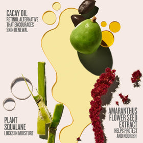 Sol de Janeiro cacay oil and squalane ingredients displayed supporting elasticity benefit