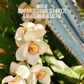 Sol de Janeiro mist spray in use on hair, refreshing scent for travel and hot days