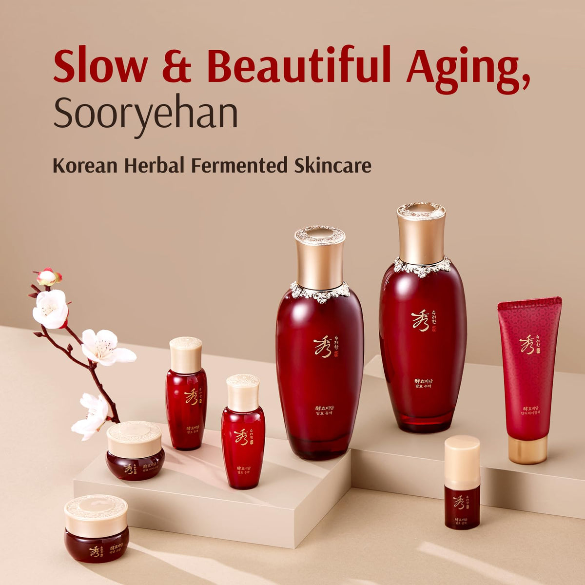 Sooryehan wild ginseng root ingredient photo highlighting natural potency