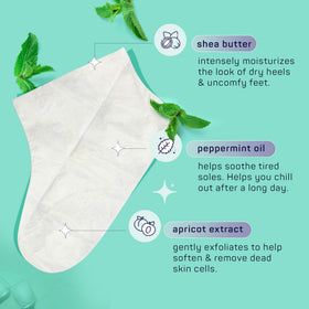 SpaLife open kit contents laid flat showing each component for convenient grooming