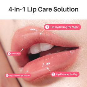 SPODARE strawberry extract and vitamin C ingredient close-up benefit
