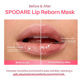 SPODARE open jar showing smooth gel texture and easy glide