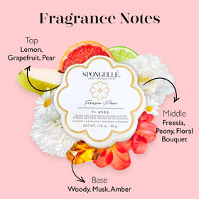 SPONGELLÉ lathering spongette in hand producing creamy foam for cleansing benefit