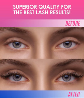 STACY LASH packaging box shot conveying professional retail presentation