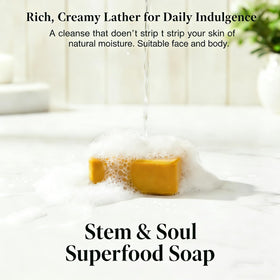 Stem and Soul soap bar close-up highlighting texture and gentle exfoliation action