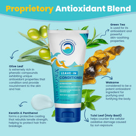STREAM 2 SEA ingredient display with green tea and wakame for antioxidant benefit