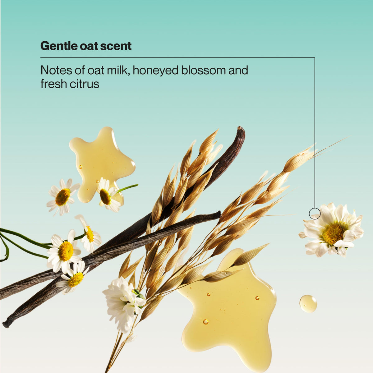 Oat and honey ingredients styled beside bottle highlighting natural nourishment benefits