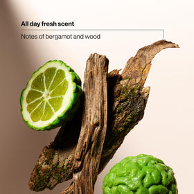 suave bergamot and wood scent visual suggesting refreshing masculine fragrance