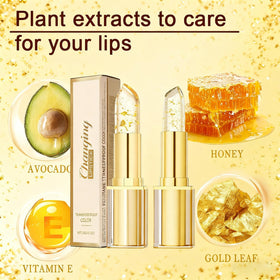 Sulily moisturizing ingredient layout showing oils and antioxidants for lip care