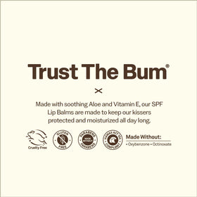 Sun Bum close-up of coconut banana watermelon flavors highlighting variety benefit