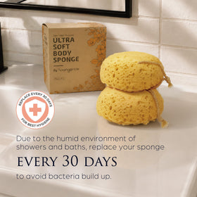 Sunlite Sports sponge hanging to dry by loop to reduce moisture and mildew
