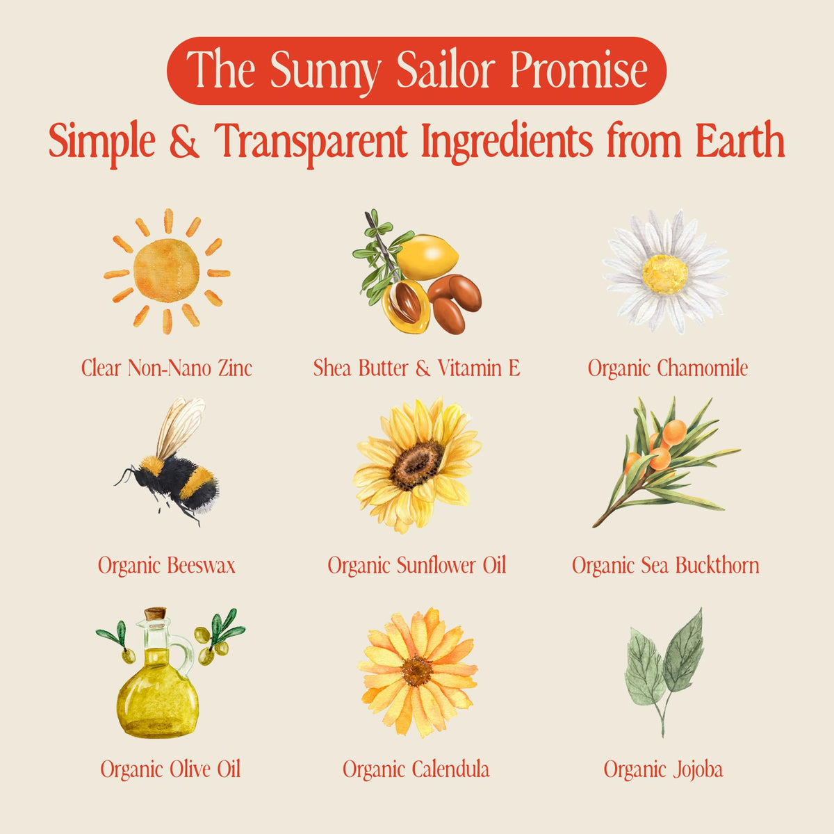 Sunny Sailor label ingredients closeup highlighting organic components
