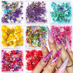 SUTOZMIWE front packaging showing compact multi-box dried flowers set for nails