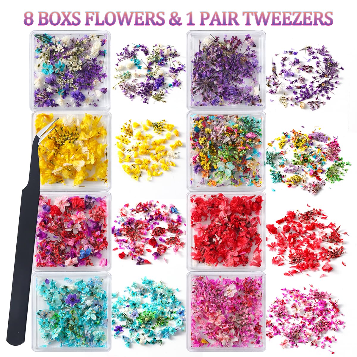 SUTOZMIWE open boxes displaying eight color-separated tiny preserved petals for precise use