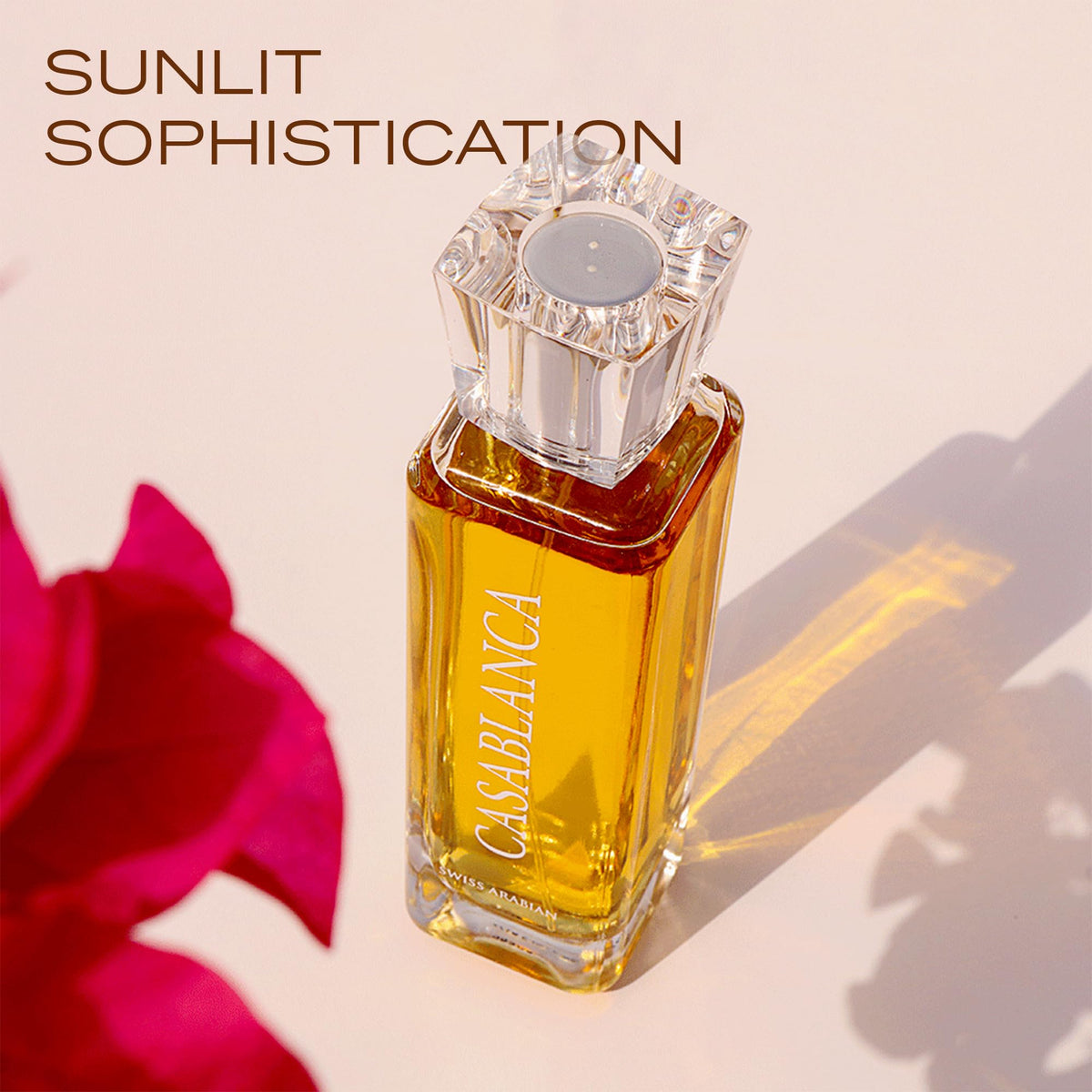 Swiss Arabian Casablanca scent accords visualizing fruit, orris, patchouli and amber balance