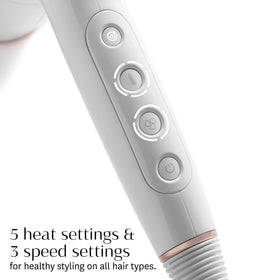 T3 dryer and round brush in use delivering a polished blowout result