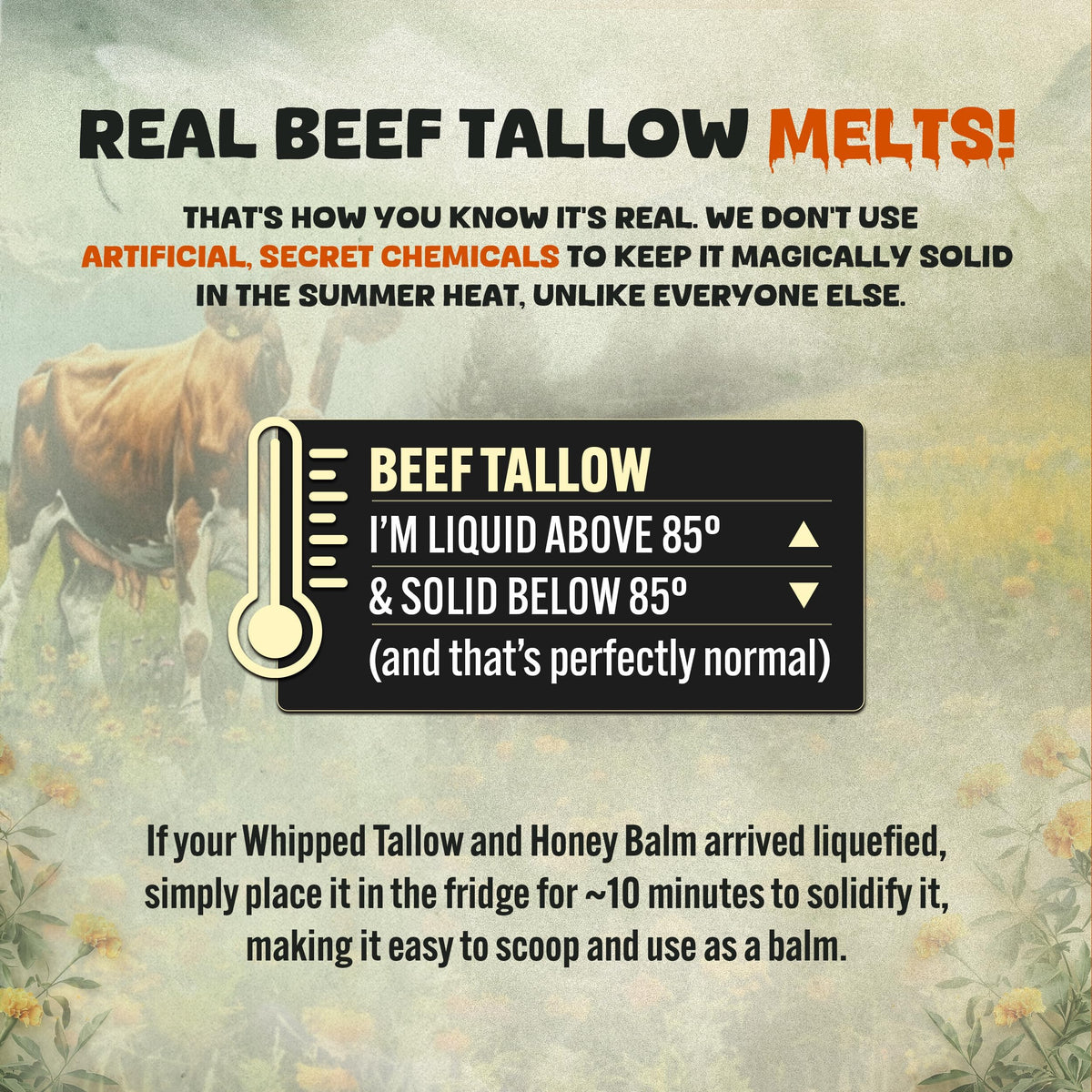 TALLOW BODY BALM ingredients flatlay with tallow and honey highlighting purity
