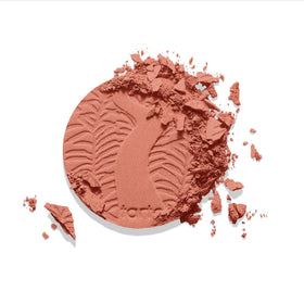 tarte size comparison next to coin showing compact scale for on‑the‑go touchups