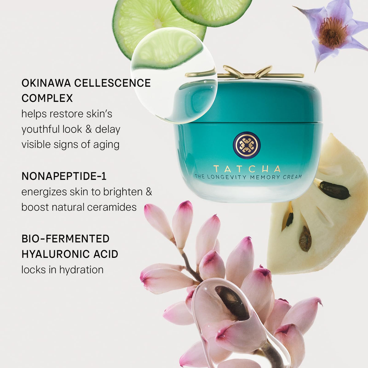 TATCHA jar next to a coin showing size and travel-friendly scale