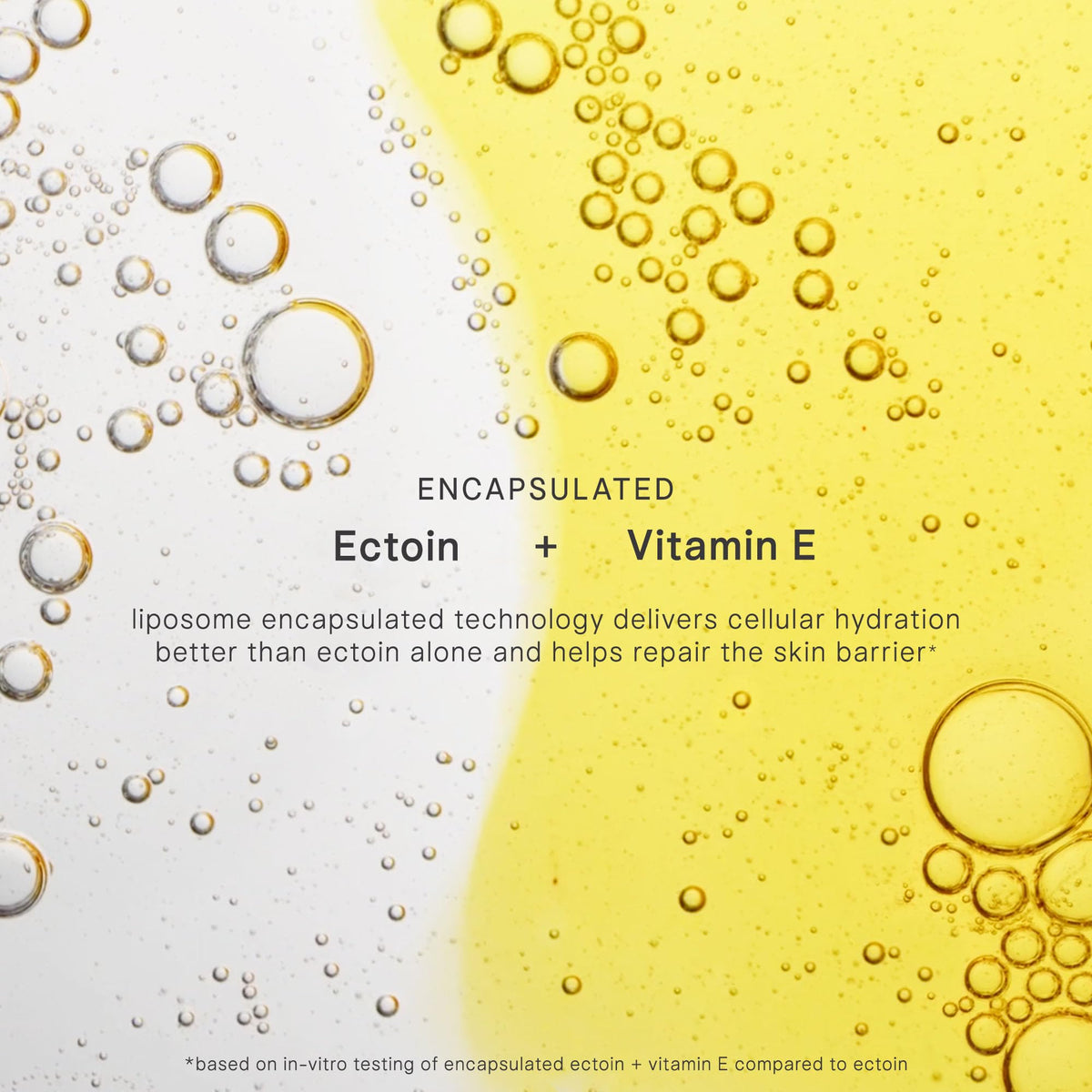 TATCHA label close-up showing SPF 50+ protection and product information