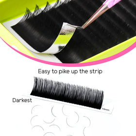TDANCE curl comparison CC D DD showing shape consistency and retention