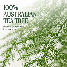 Tea Tree being rubbed on forearm, body hydration and cooling peppermint benefit