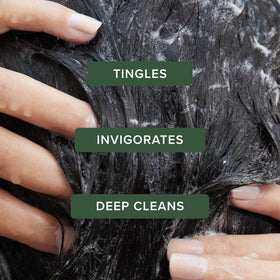 Tea Tree shampoo lather close-up illustrating rich foam and effective cleansing action