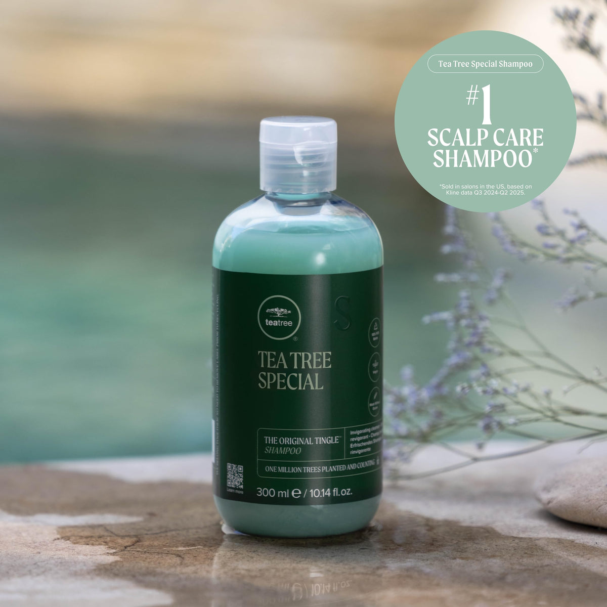 Tea Tree fragrance botanicals arrangement visualizing tea tree, peppermint, lavender scent