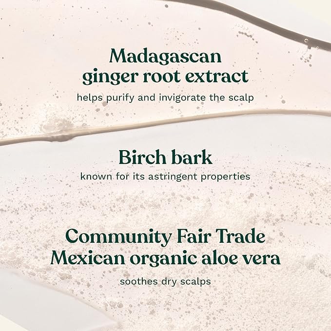 The Body Shop ginger shampoo lather texture close-up showing gentle foaming