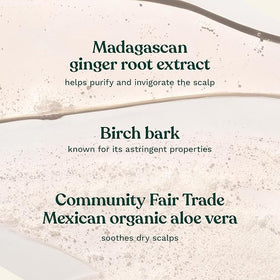The Body Shop ginger shampoo lather texture close-up showing gentle foaming