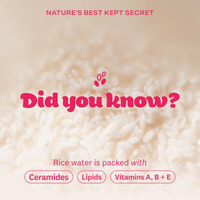 THE FACE SHOP wipe beside a hand to show size and portability benefit