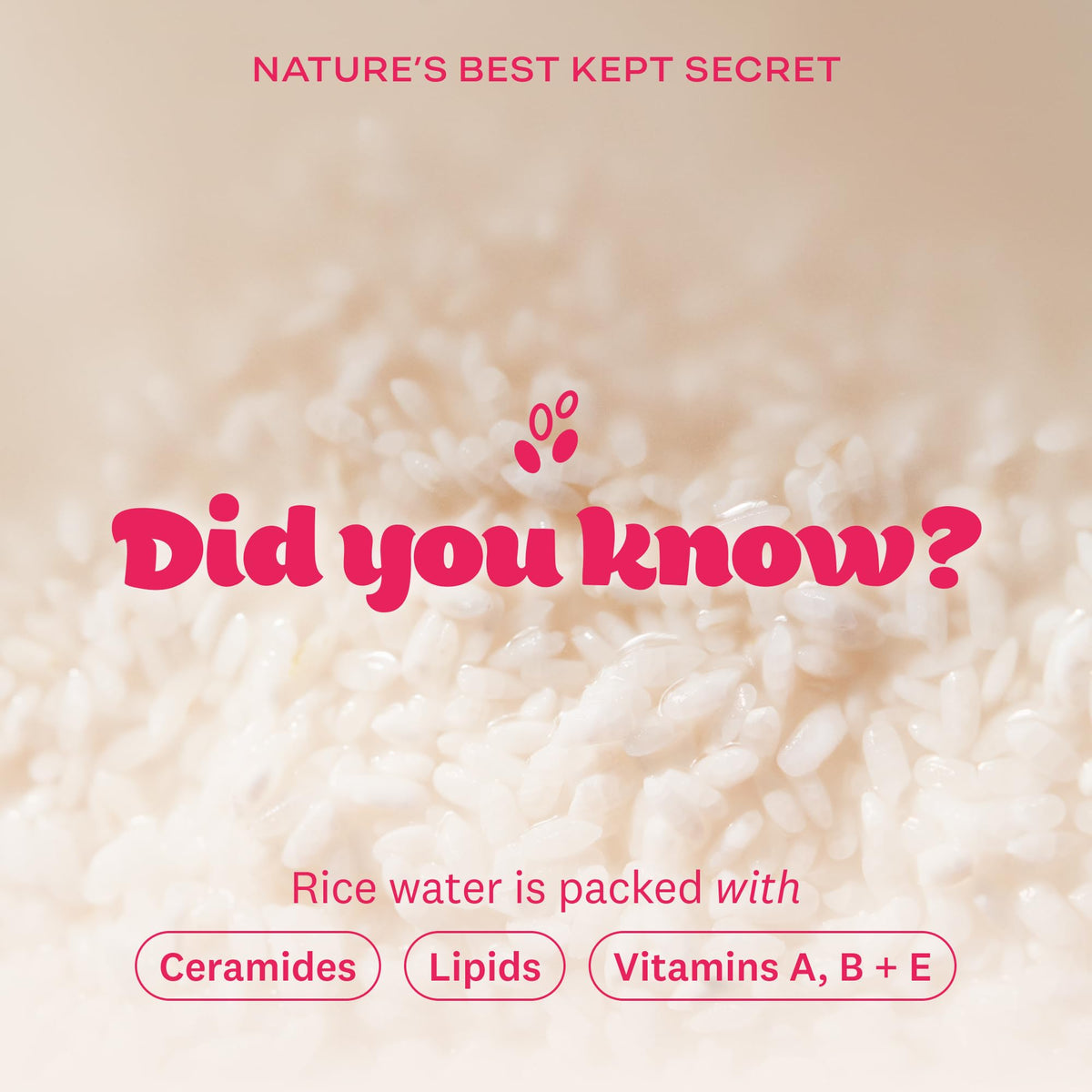 The Face Shop ingredient label highlighting rice extract and ceramide support
