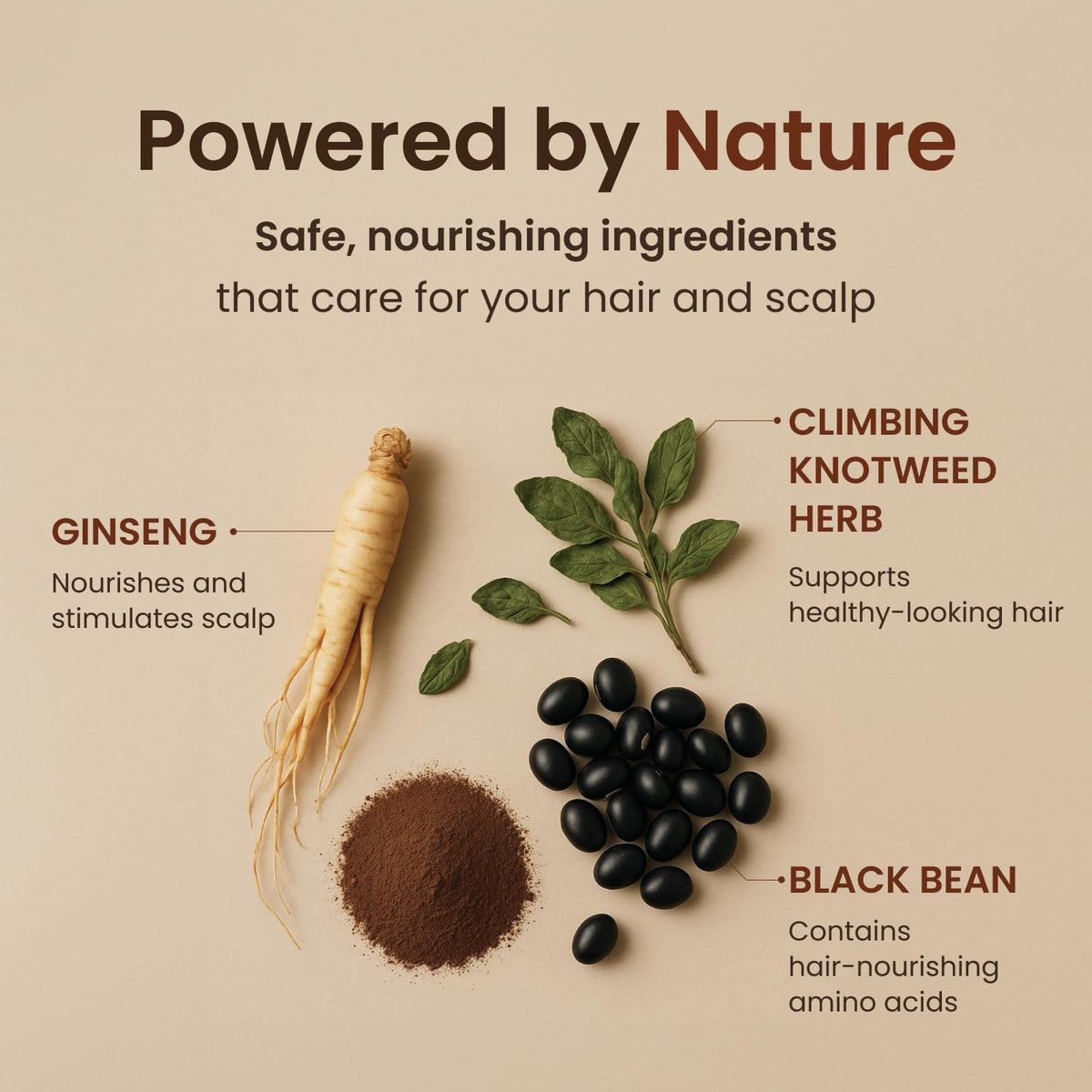 The Face Shop label and ingredient list highlighting scalp-friendly benefit