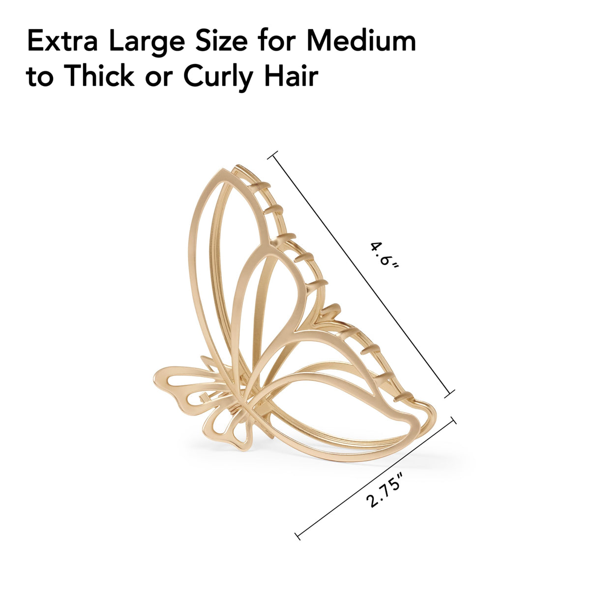 The Hair Edit scale shot with hand illustrating large size and coverage advantage
