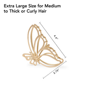The Hair Edit scale shot with hand illustrating large size and coverage advantage