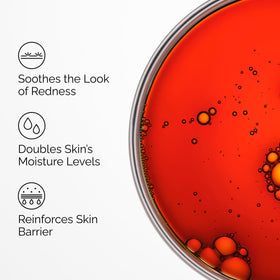 Close-up of deep red Pycnogenol serum highlighting antioxidant-rich color