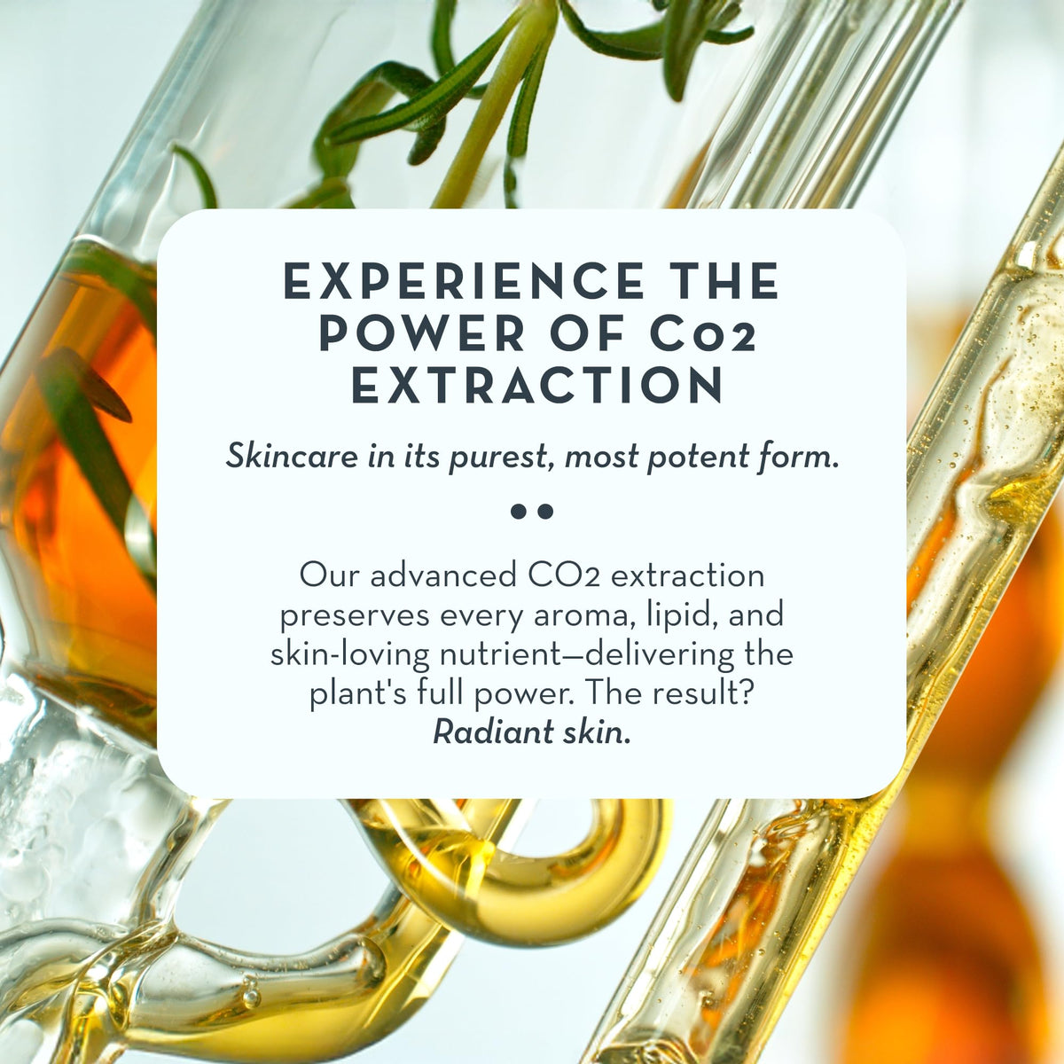 The Organic Skin Co. oil being used with a gua sha tool for smooth glide benefit