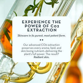 The Organic Skin Co. oil being used with a gua sha tool for smooth glide benefit