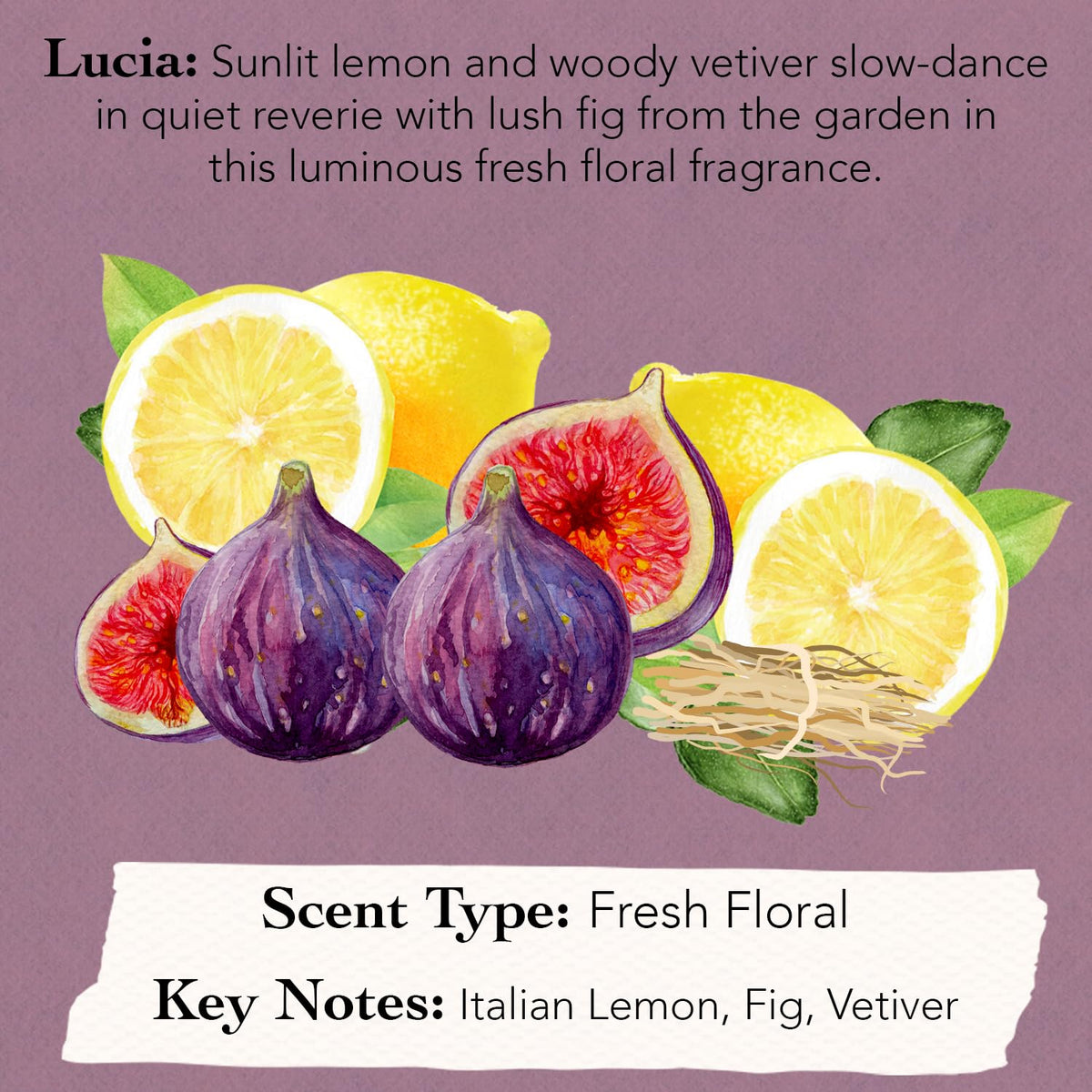 Tocca layering with dry oil showing how to customize fragrance longevity