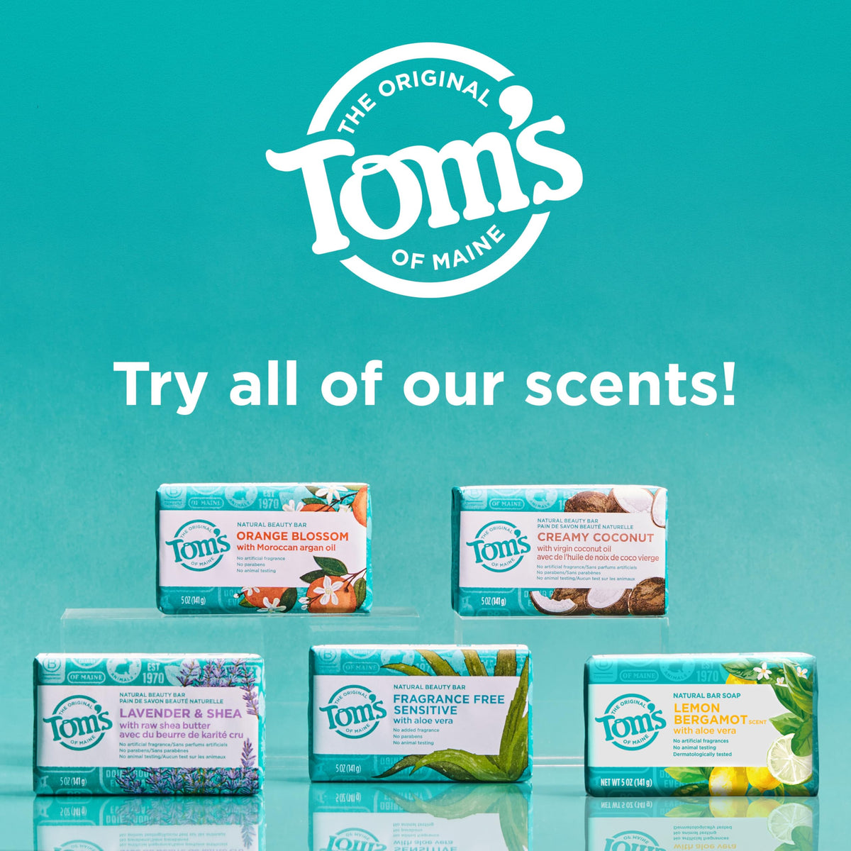 Tom's of Maine ingredients arrangement with argan, coconut, shea for nourishing benefit