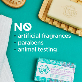 Tom's of Maine soap lathered in hand demonstrating gentle cleansing foam