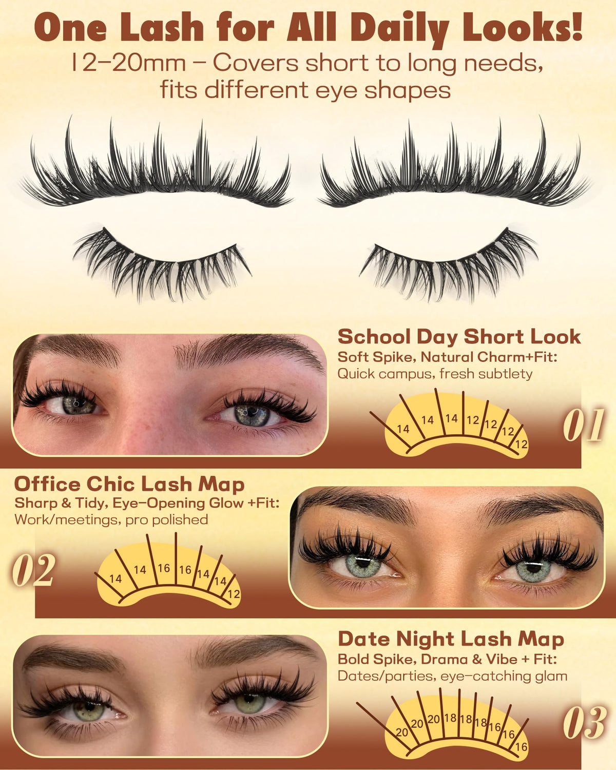 TOOCHUNAG lash scale on model eye showing 12mm to 20mm spikes, dramatic eye lift